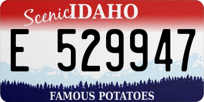 ID license plate E529947