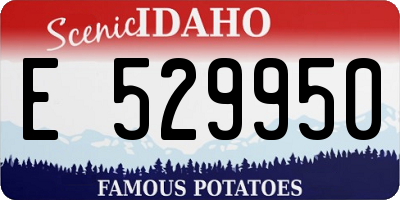 ID license plate E529950