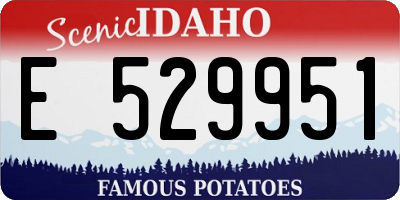 ID license plate E529951