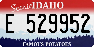 ID license plate E529952