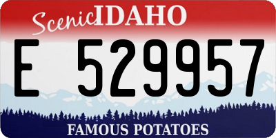 ID license plate E529957