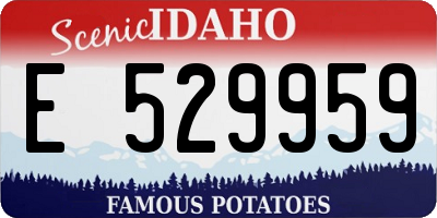 ID license plate E529959