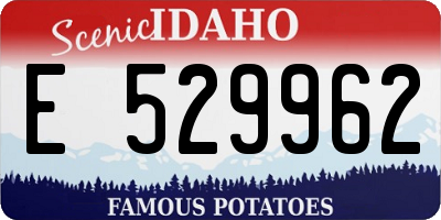ID license plate E529962