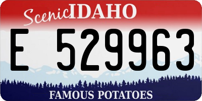 ID license plate E529963