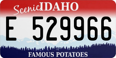 ID license plate E529966