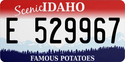 ID license plate E529967