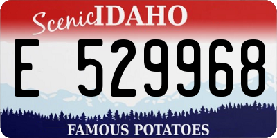 ID license plate E529968