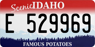 ID license plate E529969