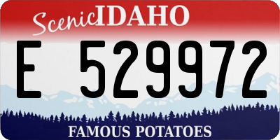 ID license plate E529972