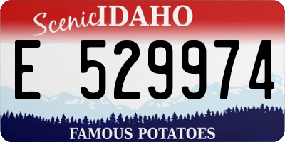 ID license plate E529974
