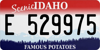 ID license plate E529975