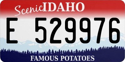 ID license plate E529976