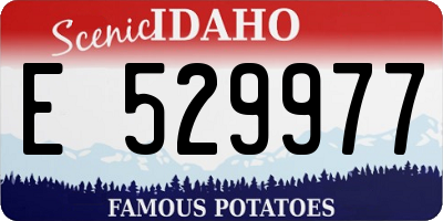 ID license plate E529977
