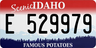 ID license plate E529979