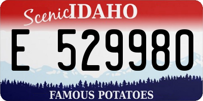 ID license plate E529980