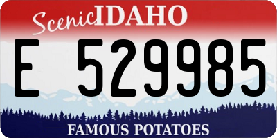 ID license plate E529985