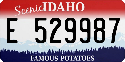 ID license plate E529987