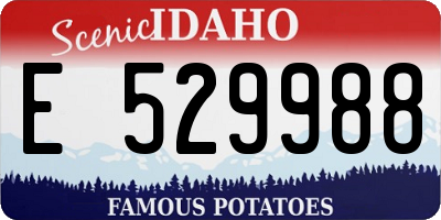 ID license plate E529988