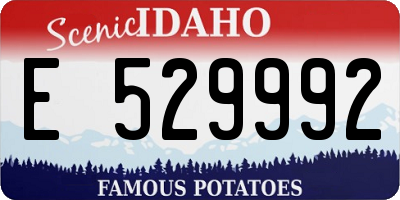 ID license plate E529992