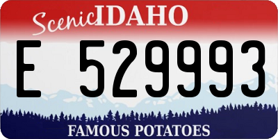 ID license plate E529993