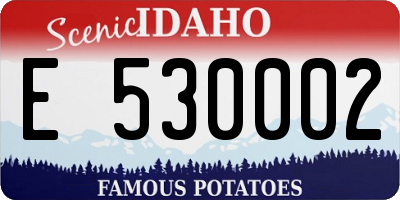 ID license plate E530002