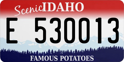 ID license plate E530013