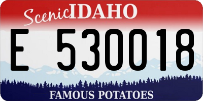 ID license plate E530018