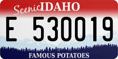 ID license plate E530019