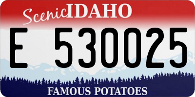 ID license plate E530025