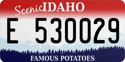 ID license plate E530029
