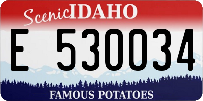 ID license plate E530034