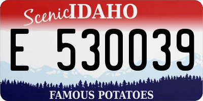 ID license plate E530039