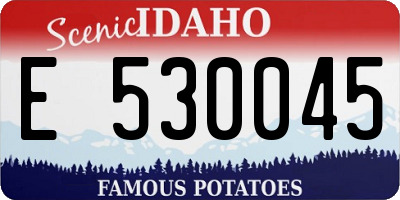 ID license plate E530045