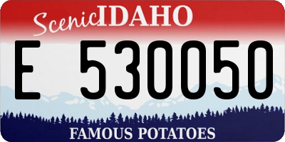 ID license plate E530050