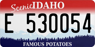 ID license plate E530054
