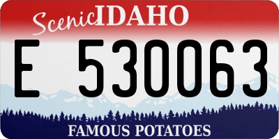 ID license plate E530063