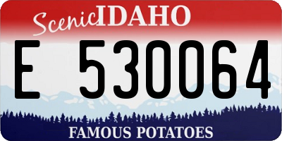 ID license plate E530064