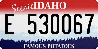 ID license plate E530067