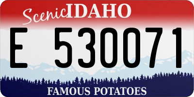 ID license plate E530071