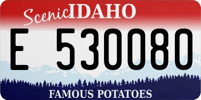ID license plate E530080
