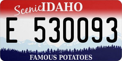 ID license plate E530093