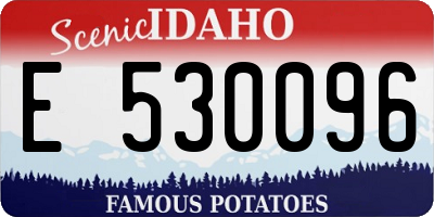 ID license plate E530096