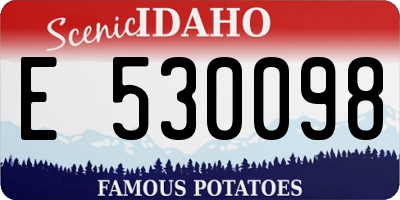 ID license plate E530098