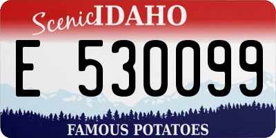 ID license plate E530099