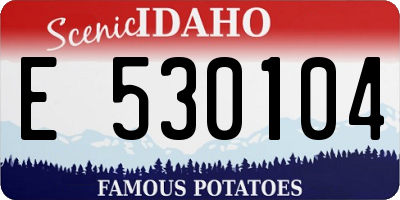 ID license plate E530104