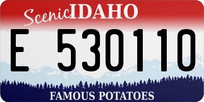 ID license plate E530110