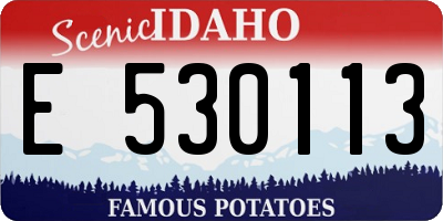 ID license plate E530113