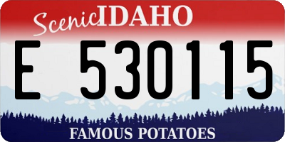 ID license plate E530115