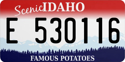 ID license plate E530116