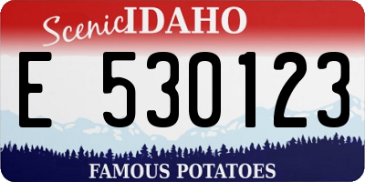 ID license plate E530123